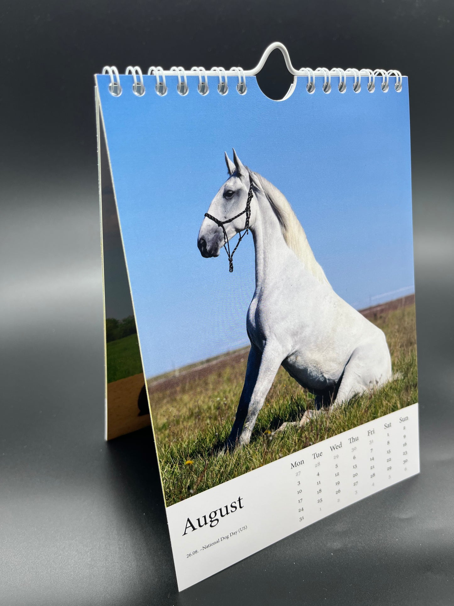 Horsedogs 🐴 Calendar 2️⃣0️⃣2️⃣6️⃣