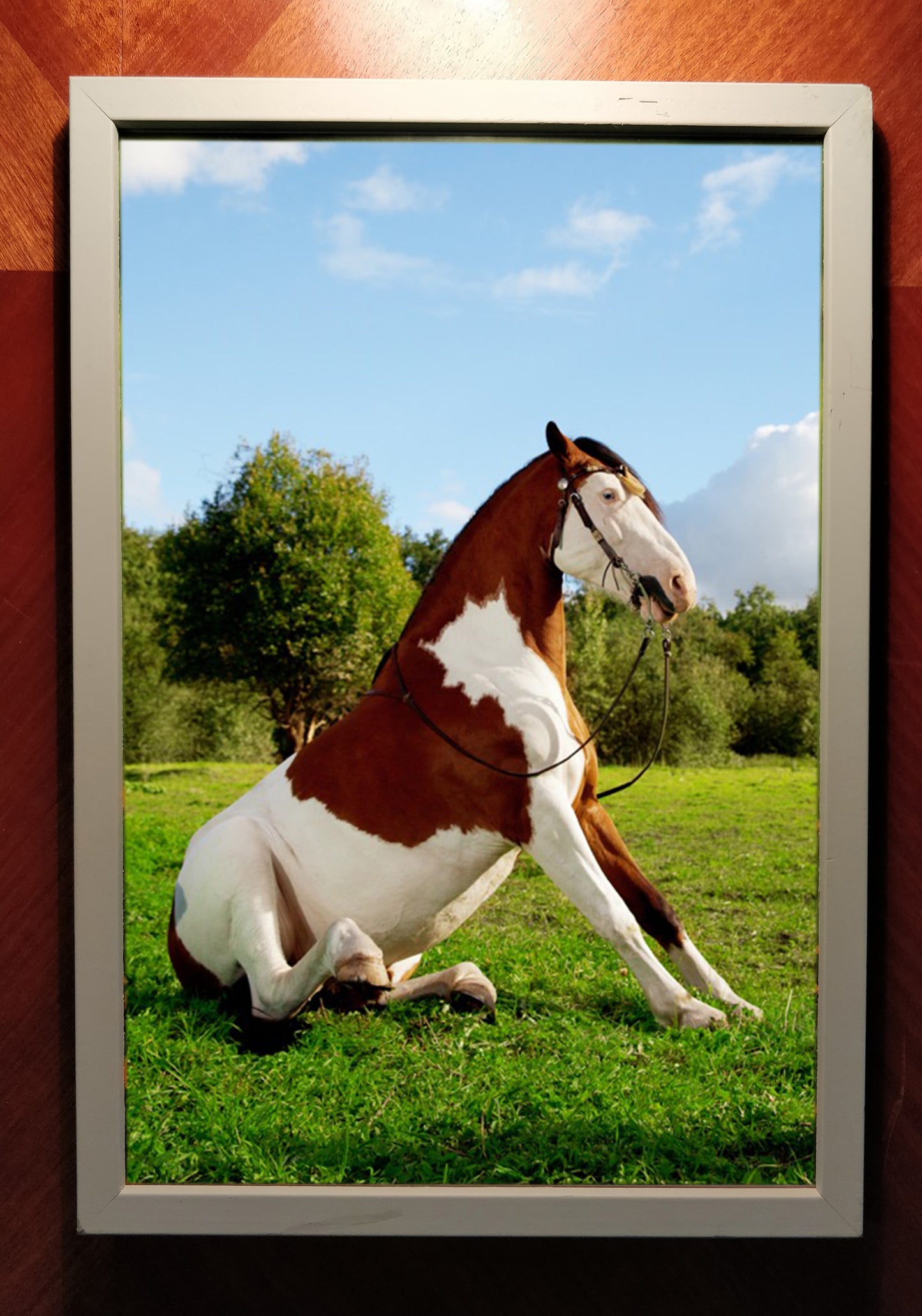 "AJ Horse" – Framed print