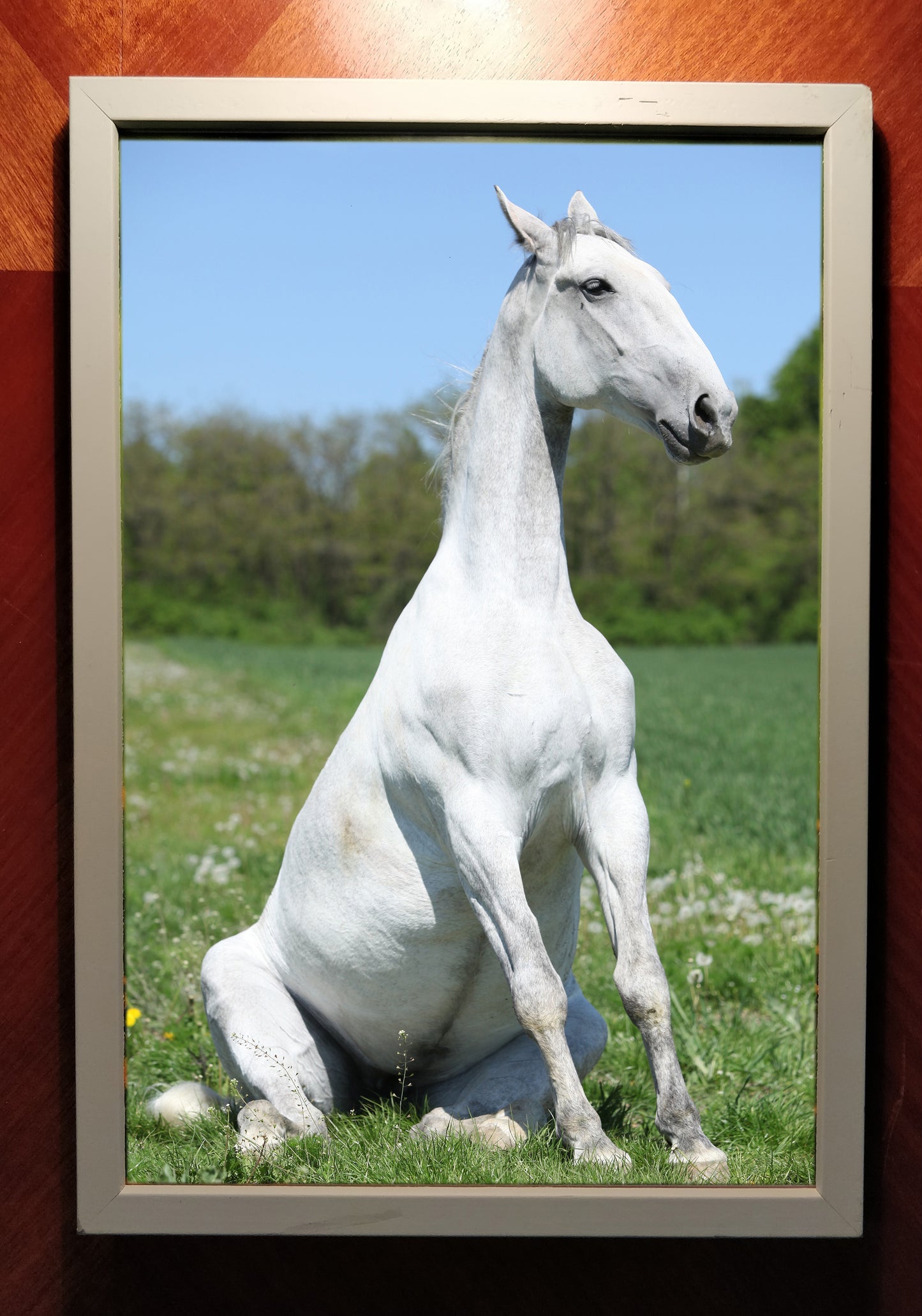 "Title Horse" – Framed print