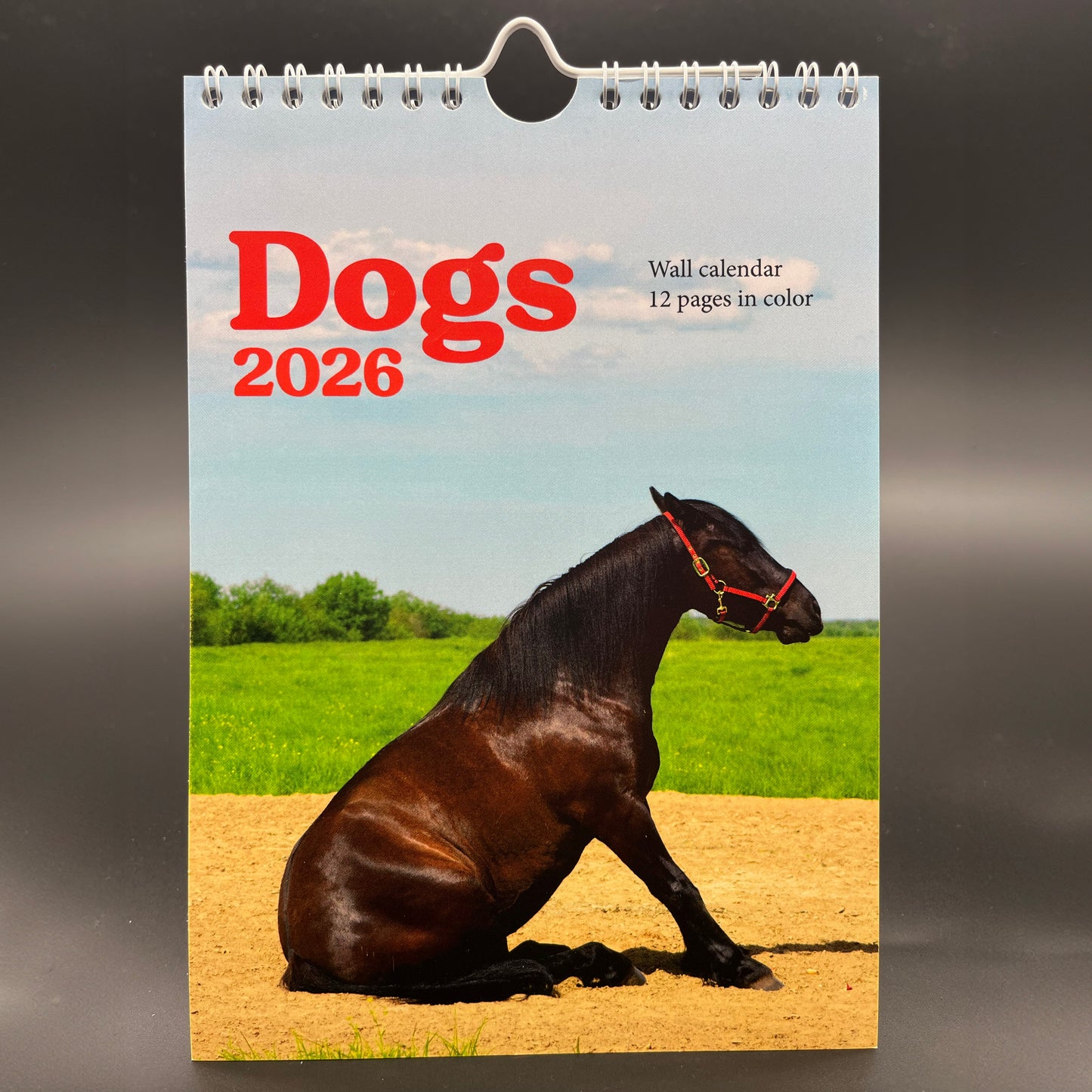Horsedogs 🐴 Calendar 2️⃣0️⃣2️⃣6️⃣