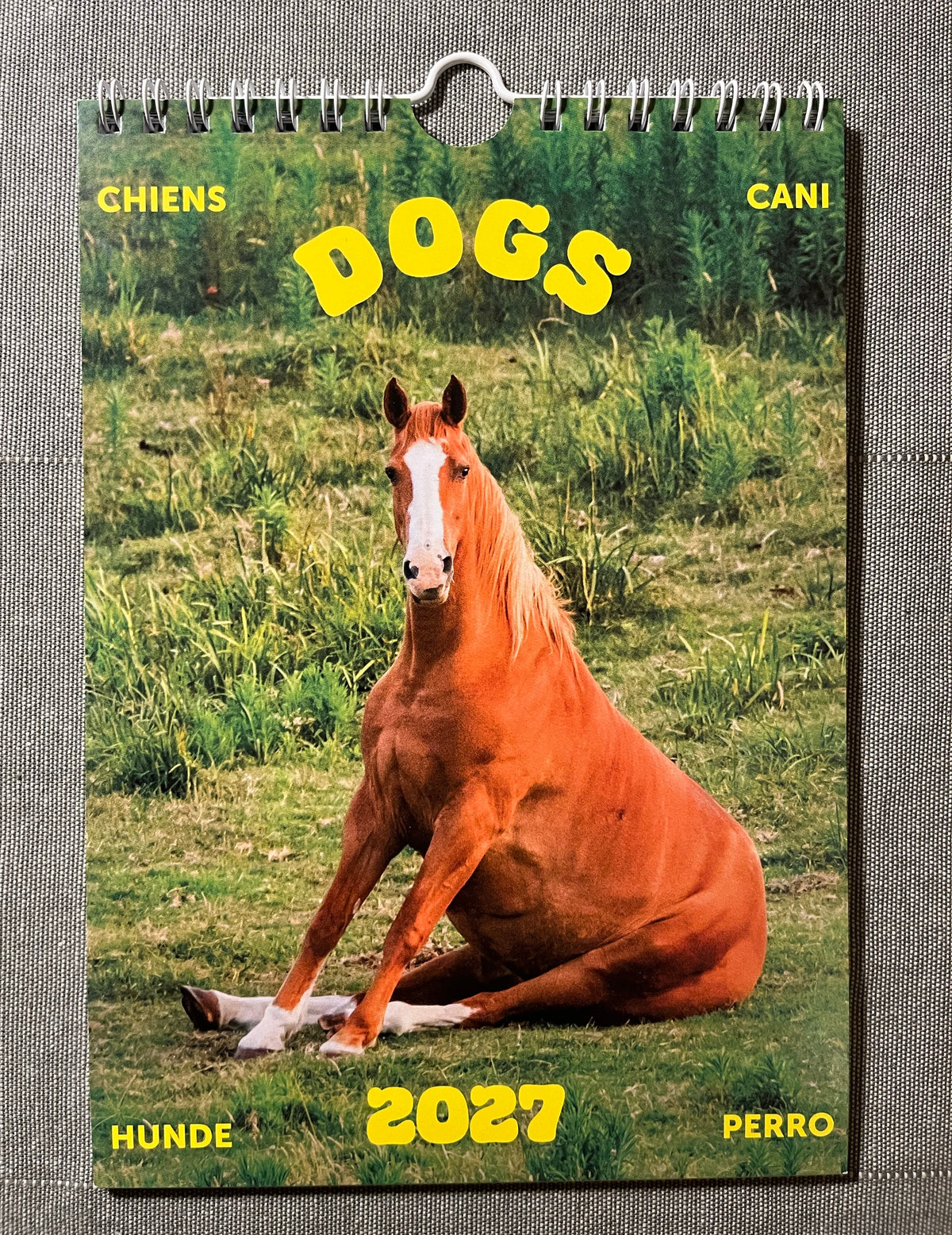Calendar "Dogs 2027"