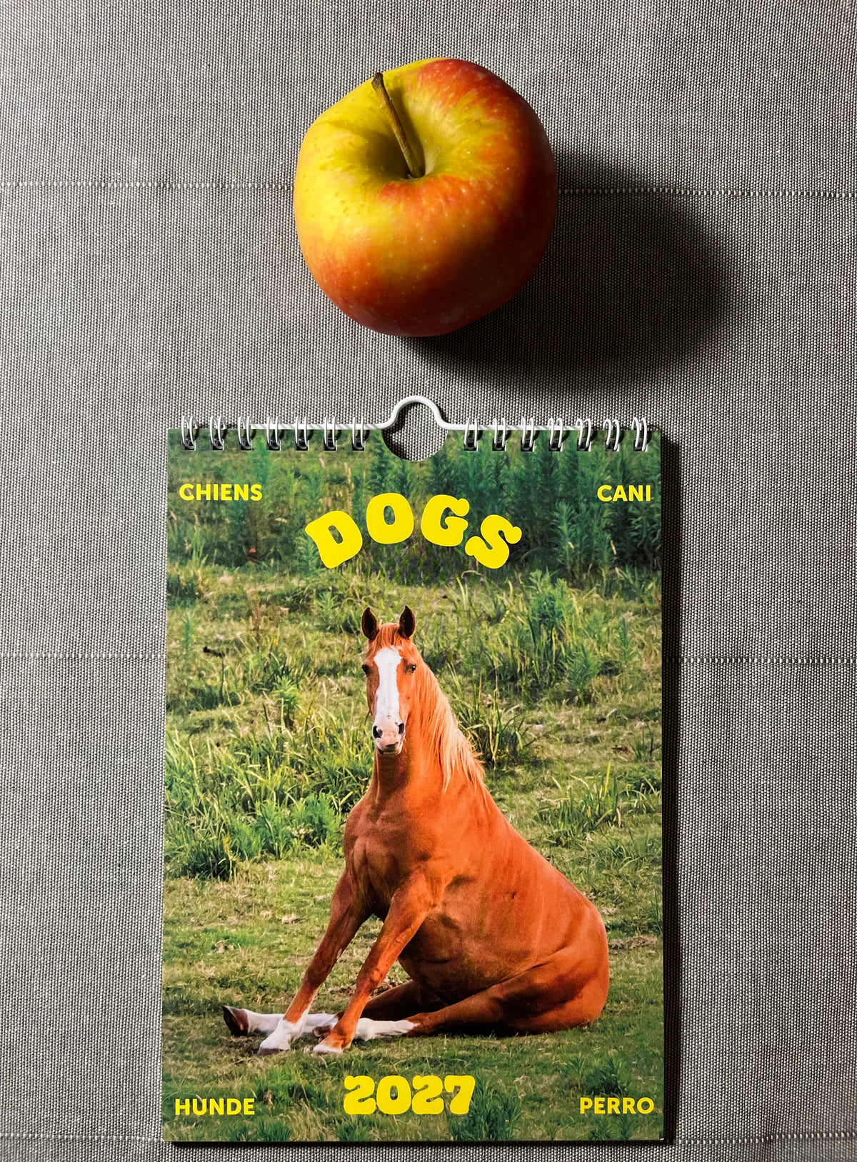 Calendar "Dogs 2027"