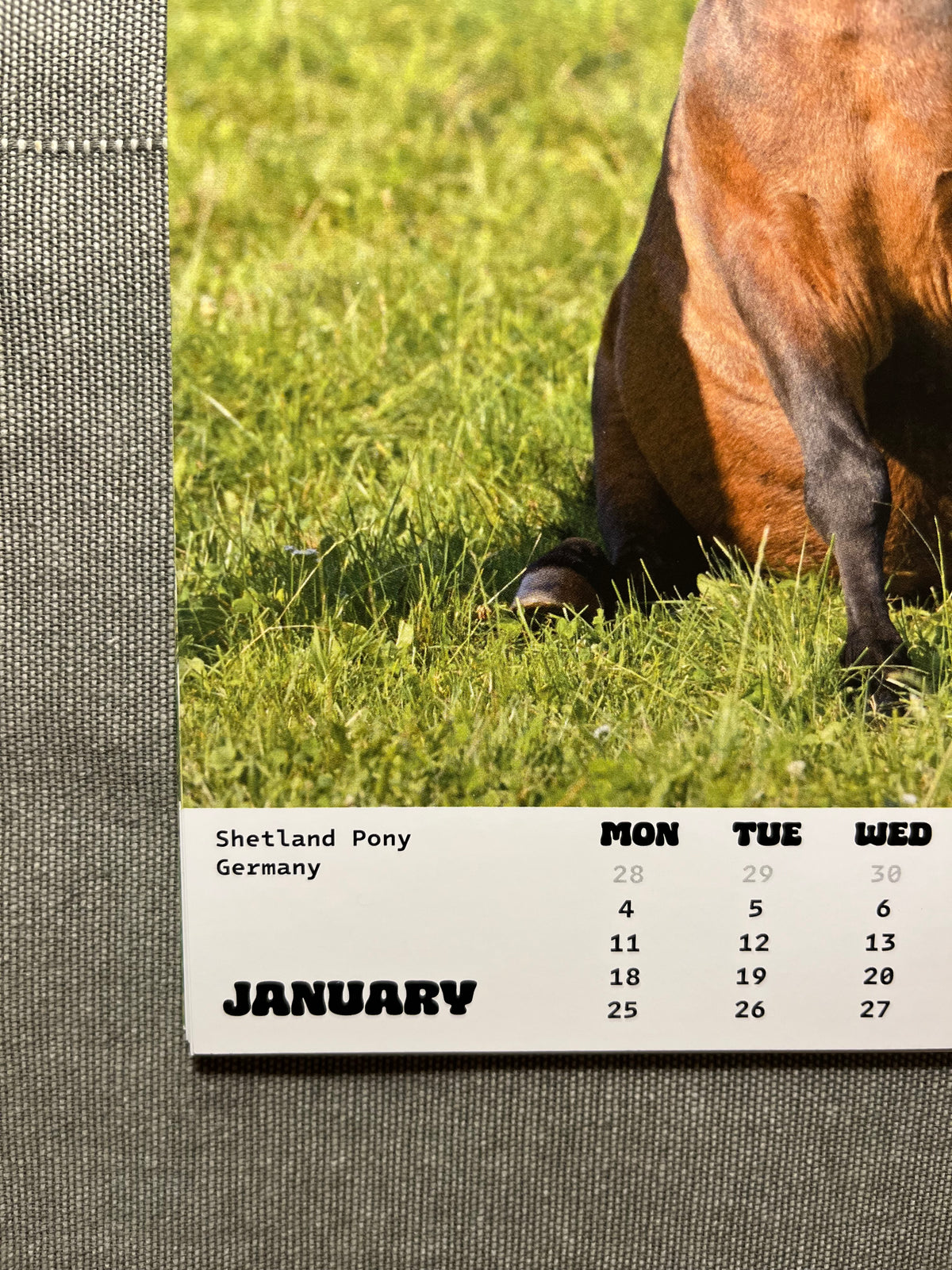 Calendar "Dogs 2027"