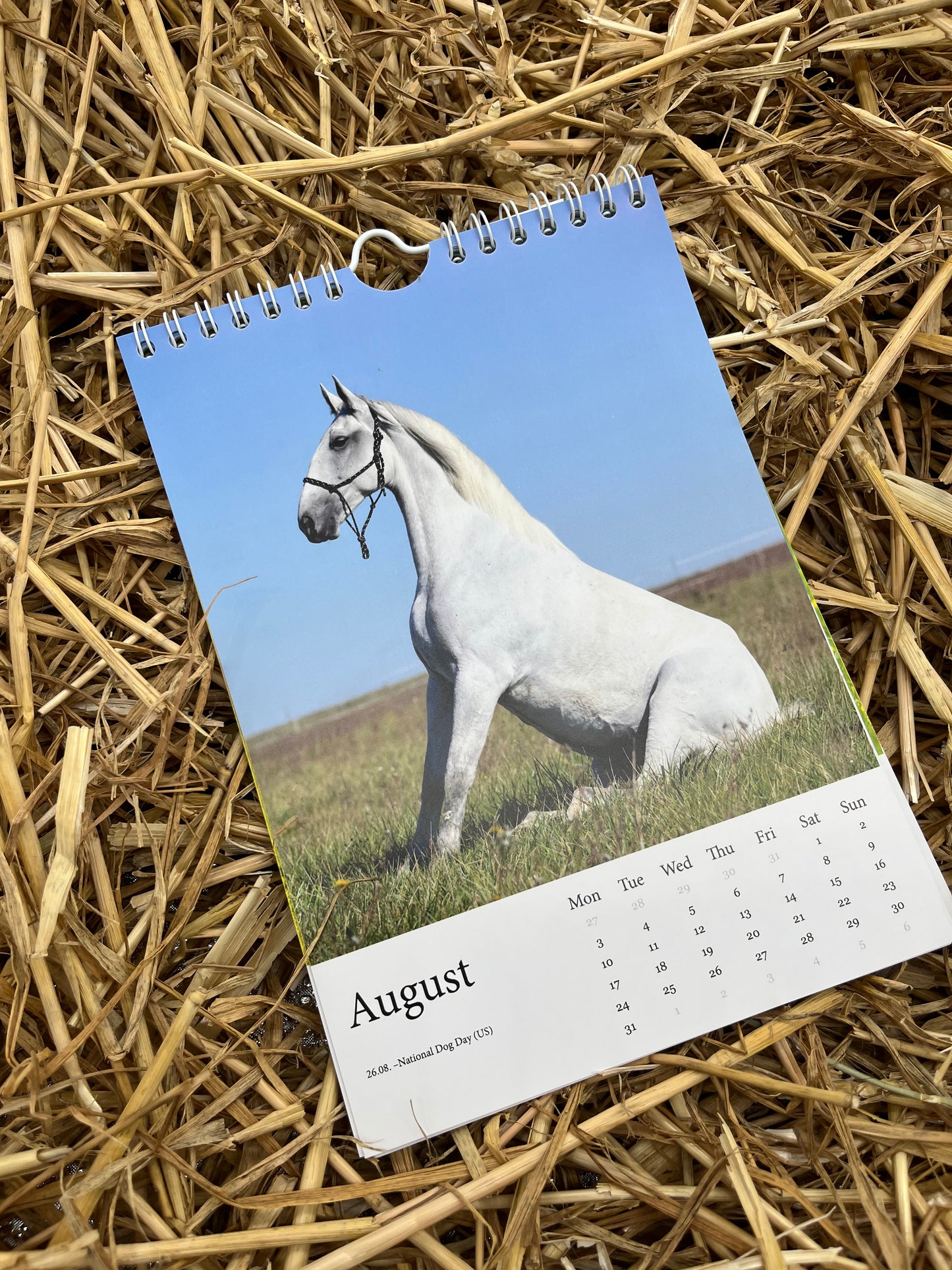 Horsedogs 🐴 Calendar 2️⃣0️⃣2️⃣6️⃣