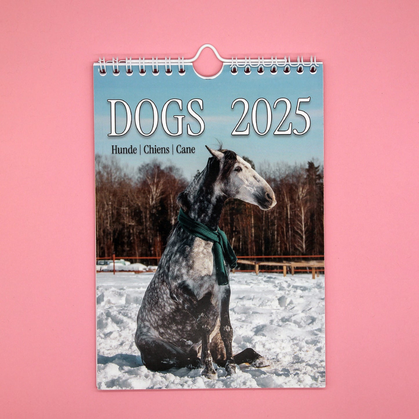 Horsedogs 🐴 Calendar 2️⃣0️⃣2️⃣5️⃣