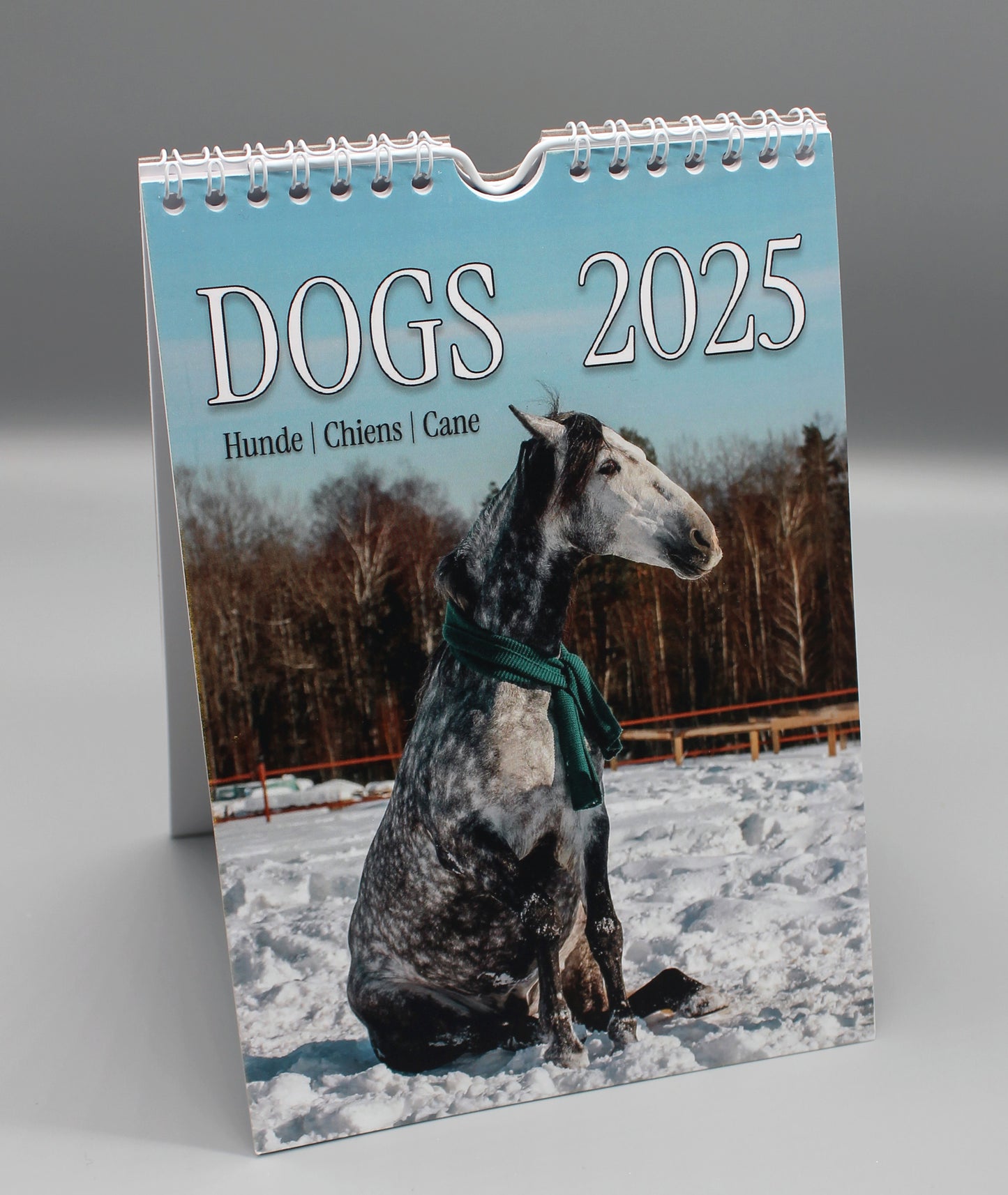 Horsedogs 🐴 Calendar 2️⃣0️⃣2️⃣5️⃣