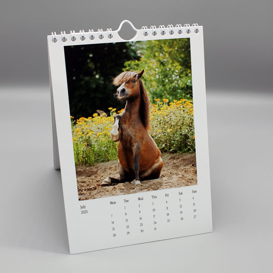 2025 Calendar (last year)