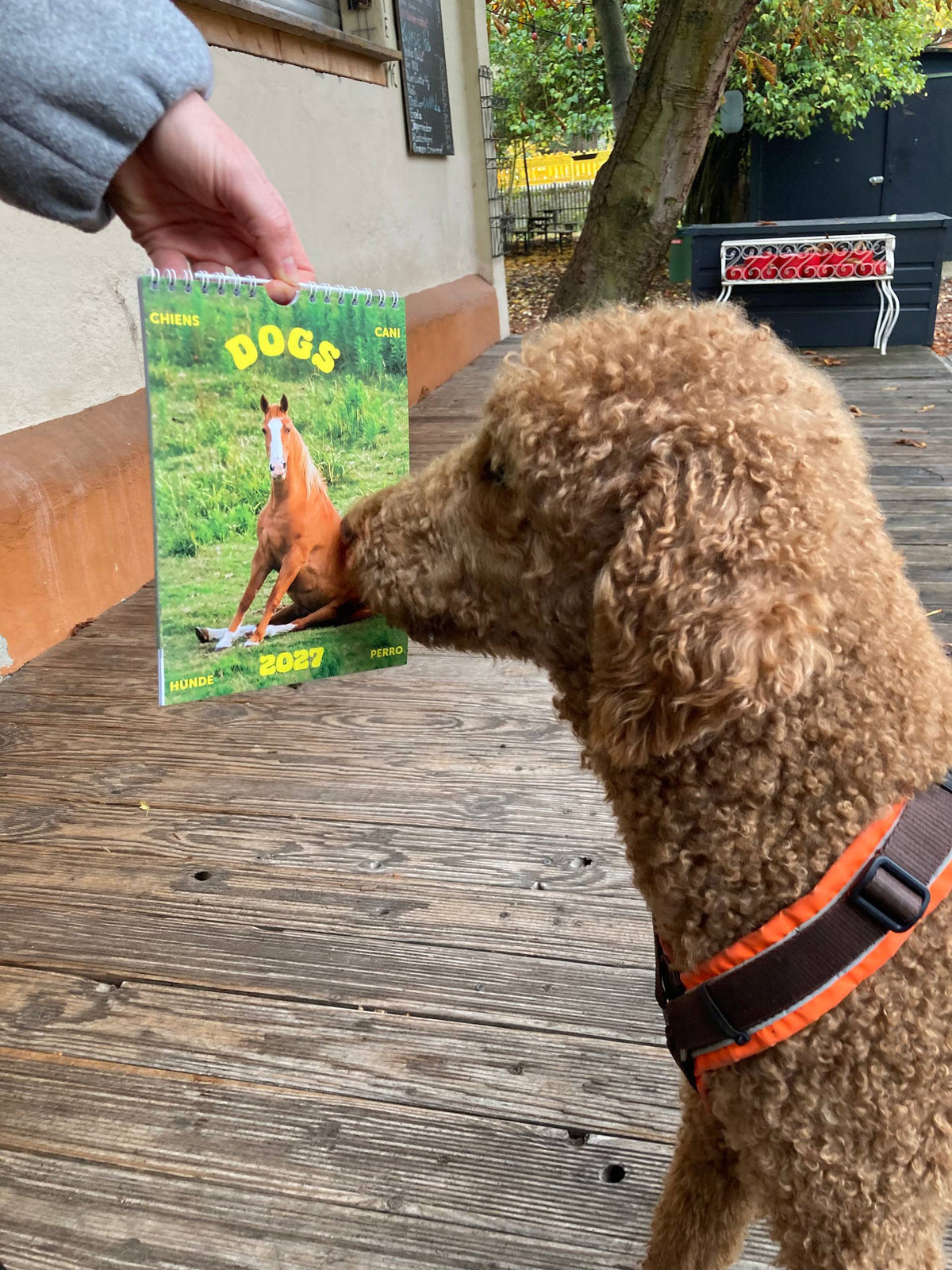 Calendar "Dogs 2027"