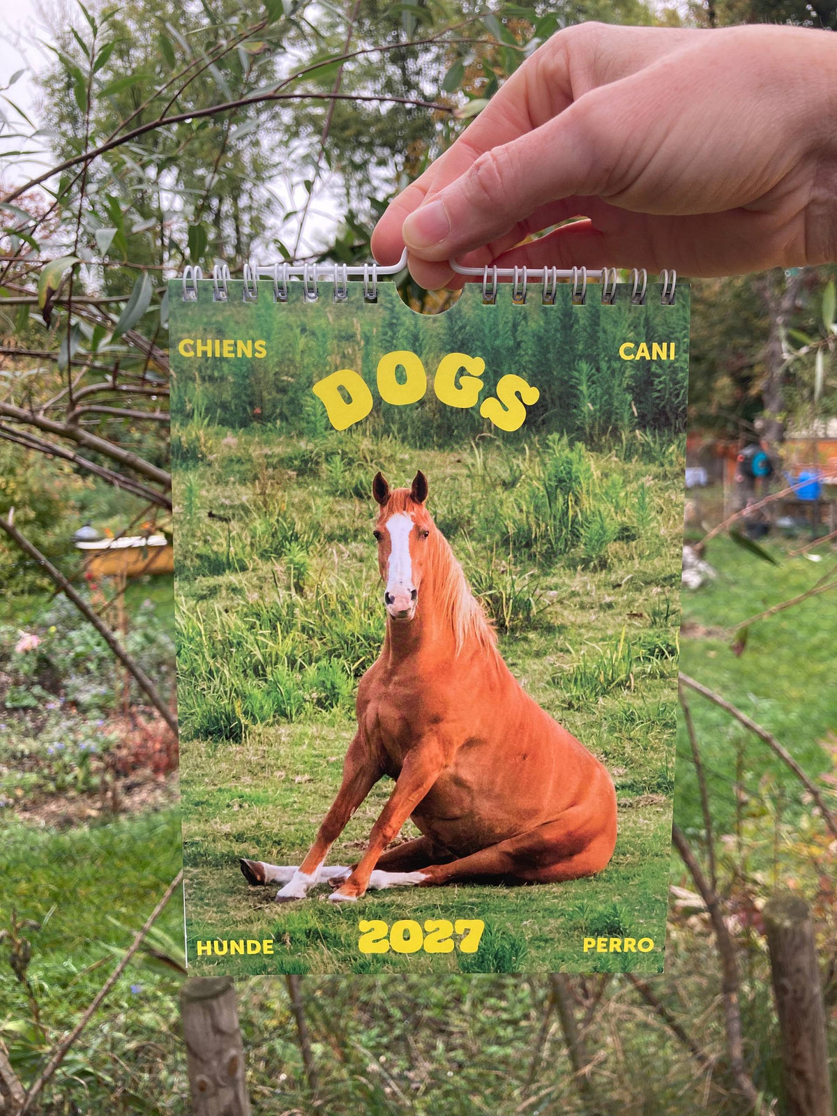 Calendar "Dogs 2027"